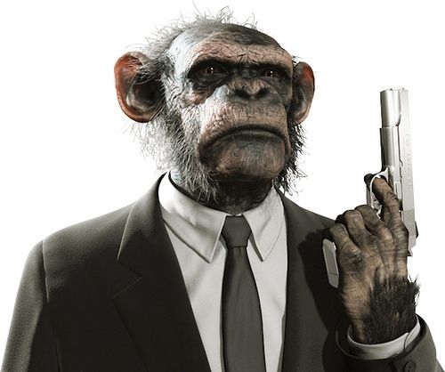 Monkey with a gun